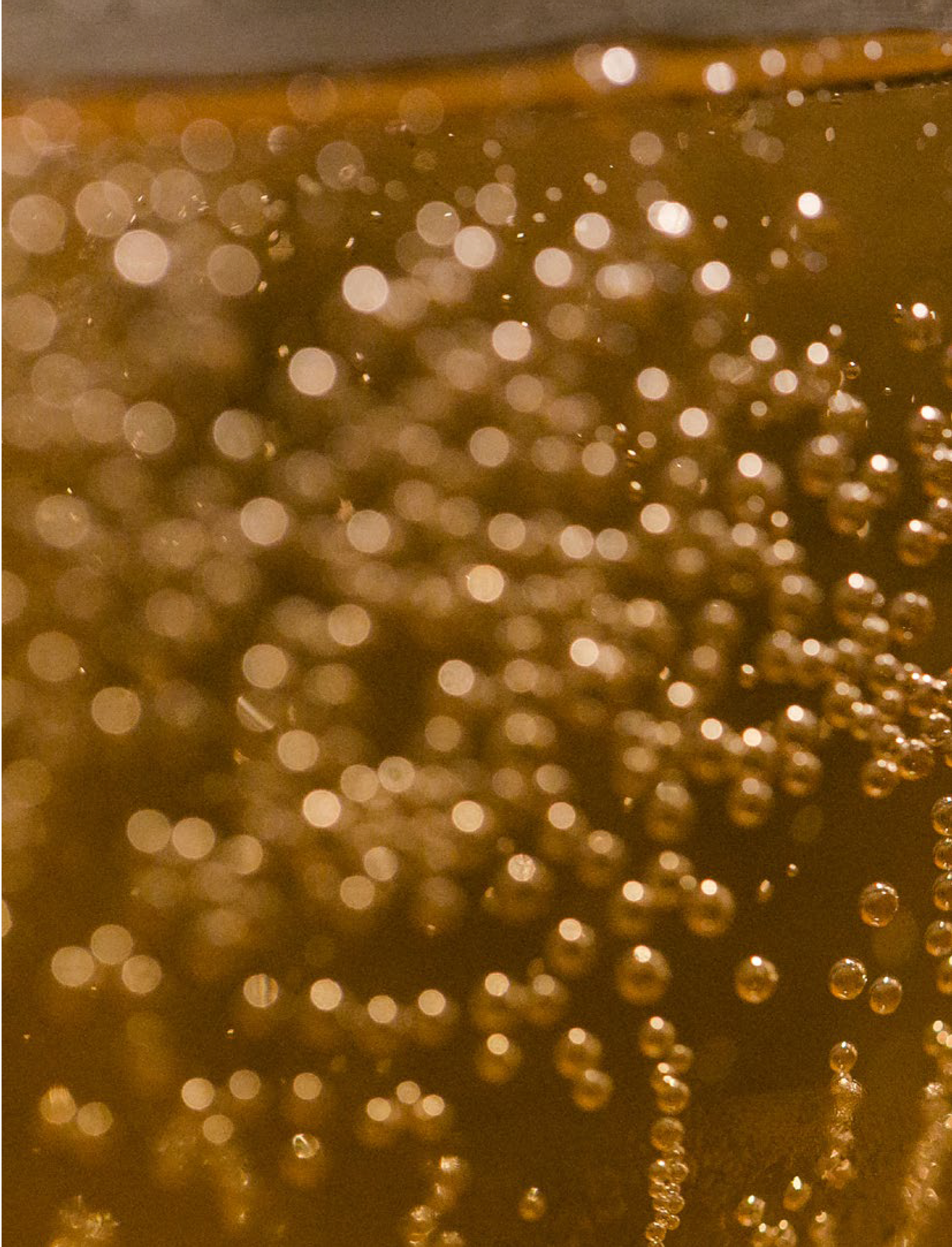 Scelerisque, la cerveza es mucho más que un agente dipsómano, es un vehículo de catársis social y un fiel aliado de nuestra identidad culinaria norestense