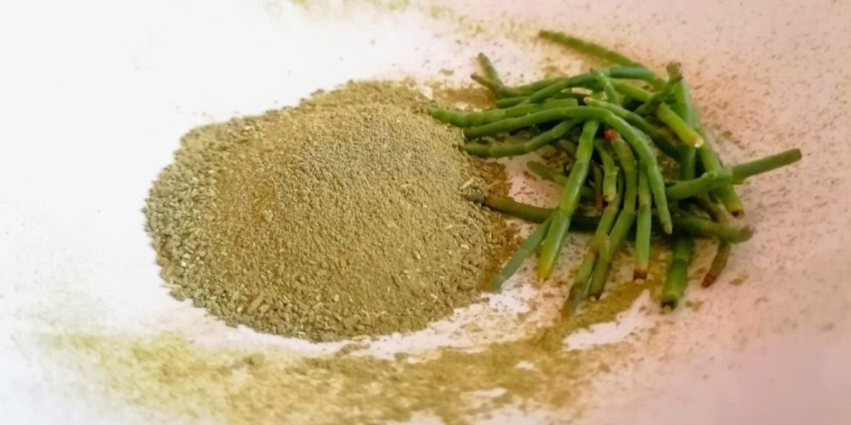 Un toque fresco y herbal para tus recetas.